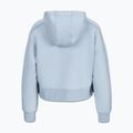 Кофта жіноча Pitbull Discovery Hooded Zip frosted blue 6