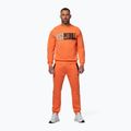 Кофта чоловіча Pitbull USA Crewneck Sweatshirt fluo orange 2