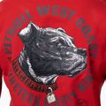 Кофта чоловіча Pitbull Strenght & Respect Sweatshirt Hooded red 4