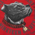 Кофта чоловіча Pitbull Strenght & Respect Sweatshirt Hooded red 9