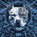 Кофта чоловіча Pitbull World Sweatshirt Hooded dark navy 7