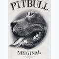 Кофта чоловіча Pitbull Midnight Sweatshirt Hooded off white 9