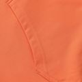 Кофта чоловіча Pitbull Bloodline 2 Sweatshirt Hooded fluo orange 12