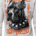 Кофта чоловіча Pitbull Blacky Sweatshirt Zip Hooded off white 4