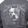Кофта чоловіча Pitbull World Sweatshirt Zip Hooded graphite 5