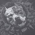 Кофта чоловіча Pitbull World Sweatshirt Zip Hooded graphite 11