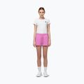 Жіночі шорти Pitbull Sierra ice pink 2