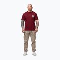 Футболка чоловіча Pitbull Dog SD burgundy 2