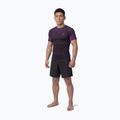 Рашгард чоловічий Pitbull Belt Rashguard purple 2