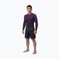 Чоловіча рашгард з довгим рукавом Pitbull Belt Rashguard purple 2