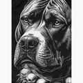 Рашгард чоловічий Pitbull Blacky Rashguard black 9