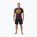 Футболка чоловіча Pitbull Rashguard Logo Palms brown 2