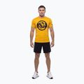 Футболка чоловіча Pitbull Palms mesh yellow logo 2