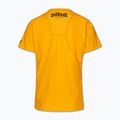 Футболка чоловіча Pitbull Palms mesh yellow logo 5