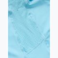 Футболка чоловіча Pitbull Palms mesh light blue logo 9