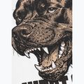 Футболка чоловіча Pitbull Best Coast white 12
