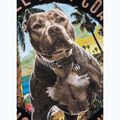 Футболка жіноча Pitbull Beach Girl black 11