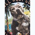 Футболка чоловіча Pitbull Beach Boy black 11