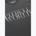 Футболка чоловіча Pitbull World graphite 4