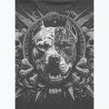 Футболка чоловіча Pitbull World graphite 5