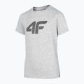 Футболка дитяча 4F JTSM002 cold light grey melange 3