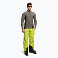 Кофта лижна чоловіча 4F BIMP011 middle grey melange 2