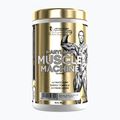 Передтренувальний комплекс Fitness Authority Levrone Gold Maryland Muscle Machine 385 g fruit punch