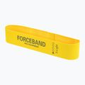 Набір стрічок для тренувань FORCEBAND Mini Band 5 шт. + E-BOOK multicolor 3