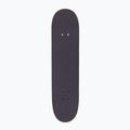 Скейт класичний Fish Skateboards Pro Forum 8.0" 2