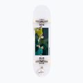Скейт класичний Fish Skateboards Pro Forum 8.0" 3