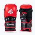 Рукавиці греплінгові DBX BUSHIDO MMA Premium чорний/червоний