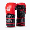 Рукавиці греплінгові DBX BUSHIDO MMA Premium чорний/червоний