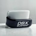 Праска боксерська DBX BUSHIDO Ferro black/silver 5