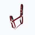Недоуздок для коня dla konia FERA Equestrian Basic Cob burgundy