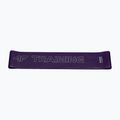 Гумки для вправ 4F U033 multicolour 5