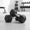 Гантель прогумована XTREXO Hex HXD250 25 кг 3