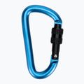 Карабін Salewa D-Shape Carbiner With Screw блакитний 00-0000034102 2