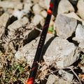 Регульовані трекінгові палиці KADVA Tengri червоні 13