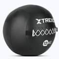 М'яч лікарський TREXO Wall Ball 12 кг чорний 2