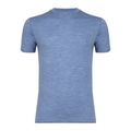 Футболка термічна чоловіча WOOLCANO Merino 100% TEE0546 blue 4