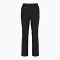 Штани лижні жіночі DISUMER Alpine Pants WMNS Black 11