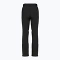 Штани лижні жіночі DISUMER Alpine Pants WMNS Black 12