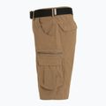 Чоловічі шорти KADVA PathGear коричневі 9