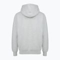 Кофта чоловіча PROSTO Hoodie Aiz gray 2