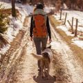 Рюкзак туристичний Alpinus Teno 24 l orange 3