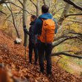 Рюкзак туристичний Alpinus Teno 24 l orange 5