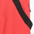 Чоловічі гірськолижні штани 4F Fnk M0928 red 11