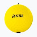 Рефлекторні м'ячики StormCloud Reflex Ball Duo yellow/black 3