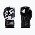 Рукавиці боксерські StormCloud Bolt 3.0 black/white
