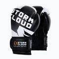 Рукавиці боксерські StormCloud Bolt 3.0 black/white 2